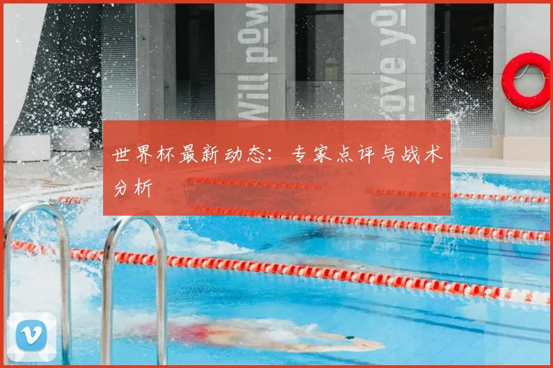 世界杯最新动态：专家点评与战术分析