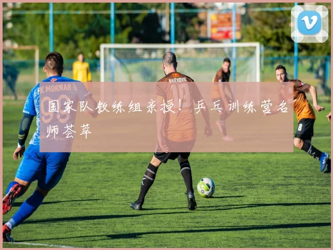 国家队教练组亲授！乒乓训练营名师荟萃