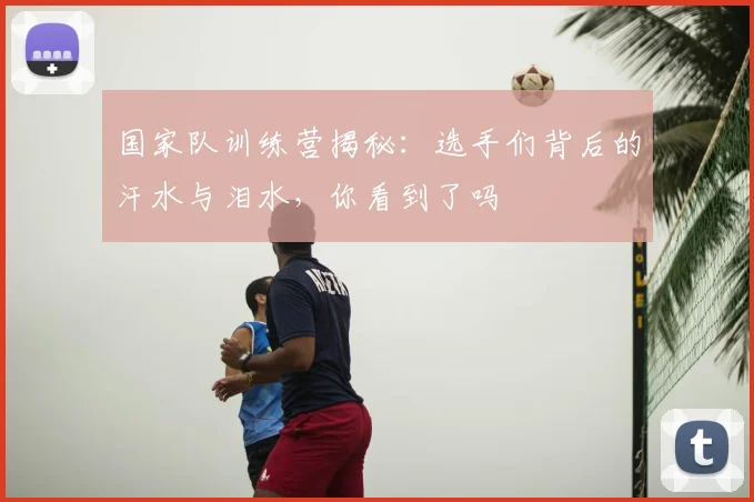 国家队训练营揭秘:选手们背后的汗水与泪水,你看到了吗