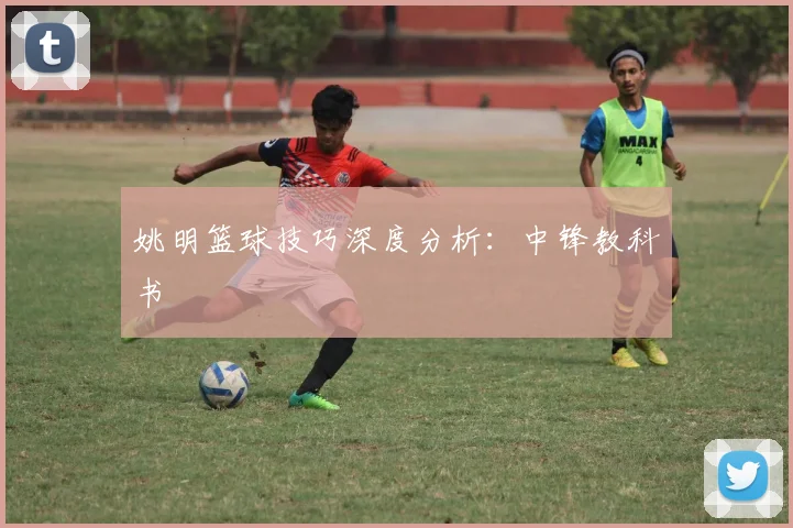 姚明篮球技巧深度分析:中锋教科书