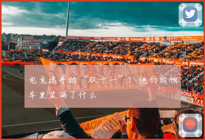 电竞选手的“双十一”：他们购物车里装满了什么