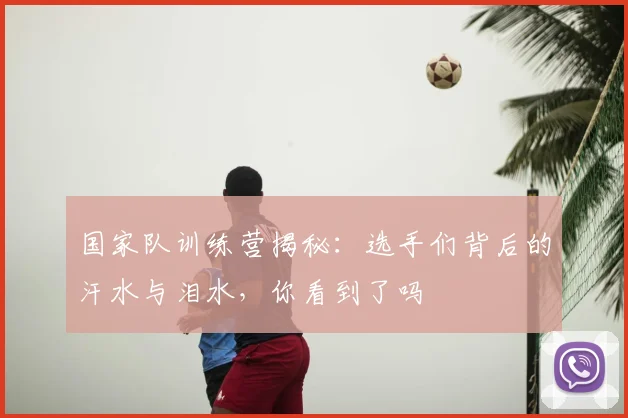 国家队训练营揭秘:选手们背后的汗水与泪水,你看到了吗